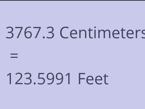 3767.3 CM TO FEET