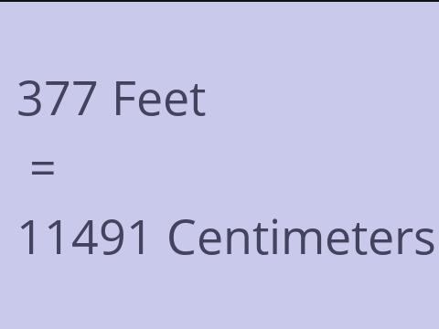 377 FEET TO CM