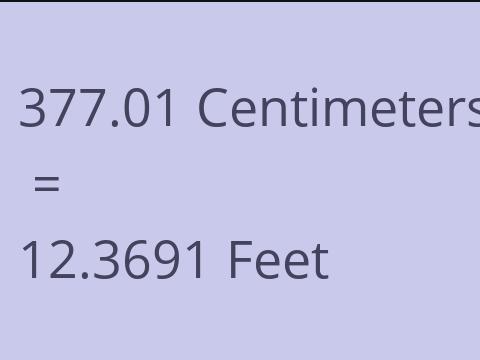 377.01 CM TO FEET