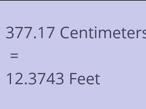 377.17 CM TO FEET