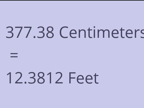 377.38 CM TO FEET