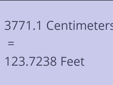 3771.1 CM TO FEET