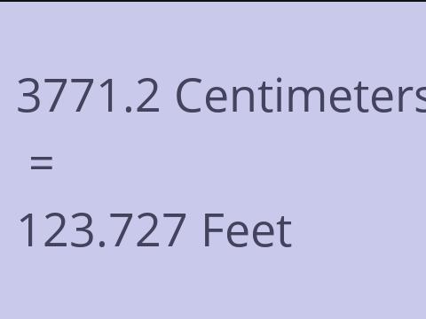 3771.2 CM TO FEET
