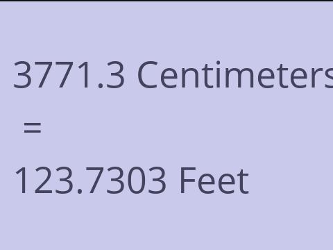 3771.3 CM TO FEET