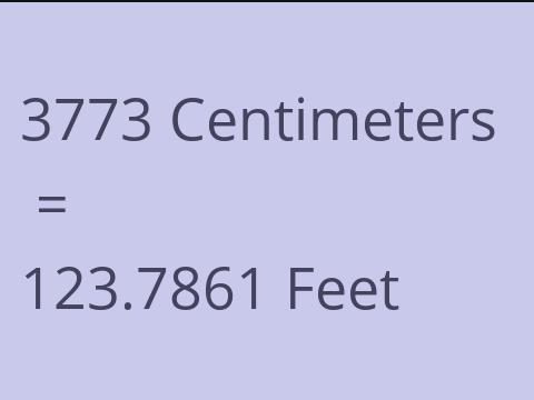 3773 CM TO FEET
