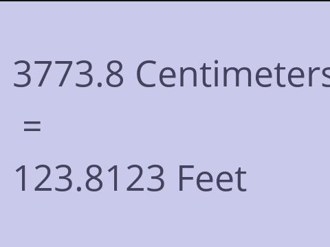 3773.8 CM TO FEET