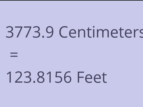 3773.9 CM TO FEET