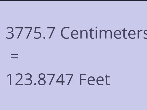 3775.7 CM TO FEET