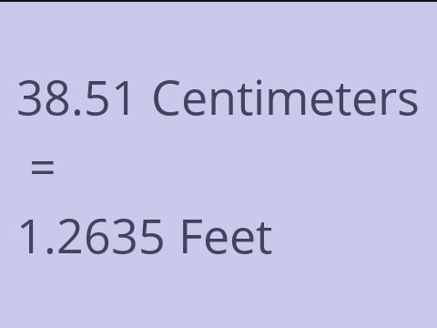 38.51 CM TO FEET