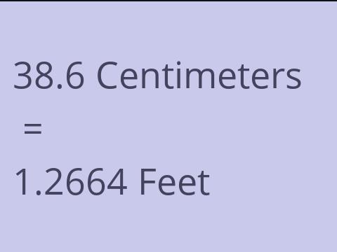 38.6 CM TO FEET