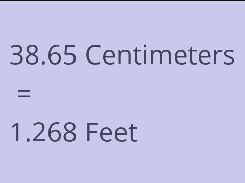 38.65 CM TO FEET