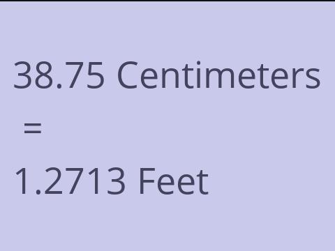 38.75 CM TO FEET