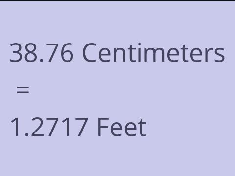 38.76 CM TO FEET