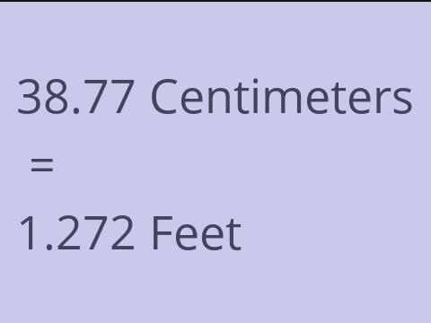 38.77 CM TO FEET