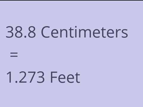 38.8 CM TO FEET