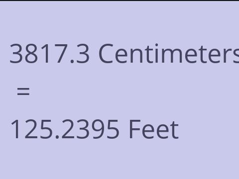 3817.3 CM TO FEET