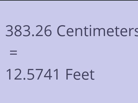 383.26 CM TO FEET