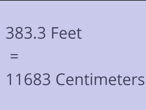 383.3 FEET TO CM