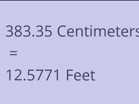 383.35 CM TO FEET