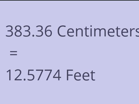 383.36 CM TO FEET