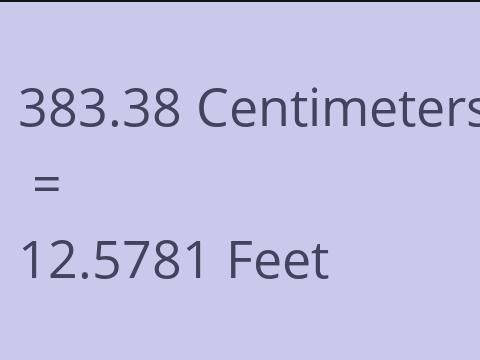 383.38 CM TO FEET