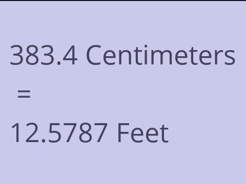 383.4 CM TO FEET