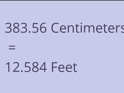 383.56 CM TO FEET