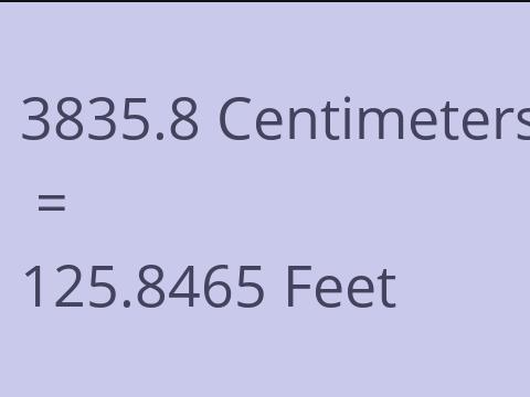 3835.8 CM TO FEET