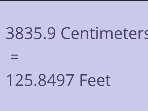 3835.9 CM TO FEET