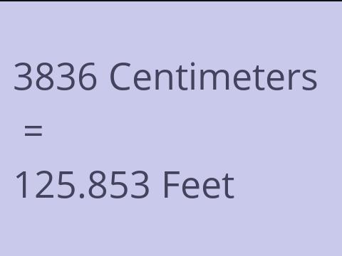 3836 CM TO FEET