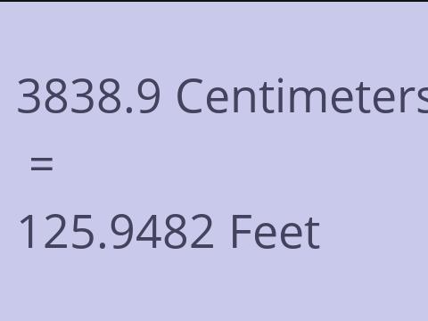 3838.9 CM TO FEET