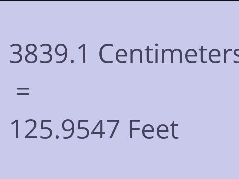 3839.1 CM TO FEET