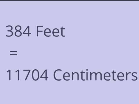 384 FEET TO CM