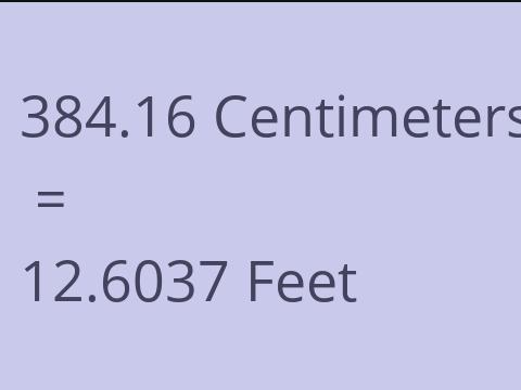 384.16 CM TO FEET