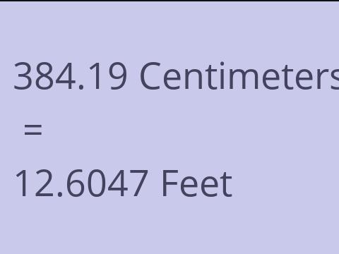 384.19 CM TO FEET