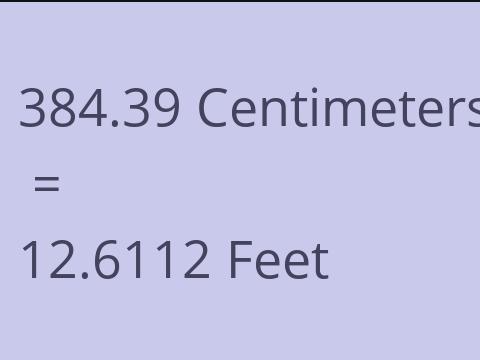 384.39 CM TO FEET