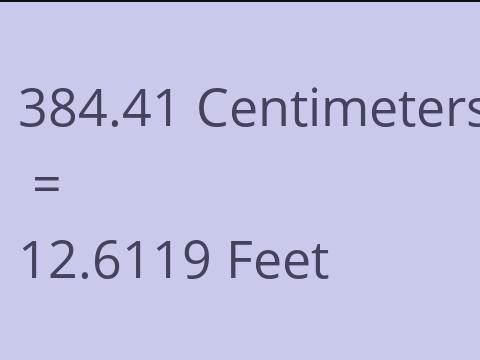 384.41 CM TO FEET