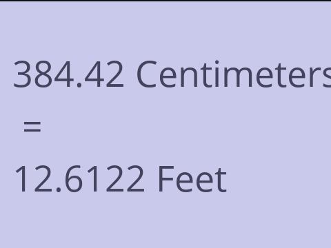 384.42 CM TO FEET