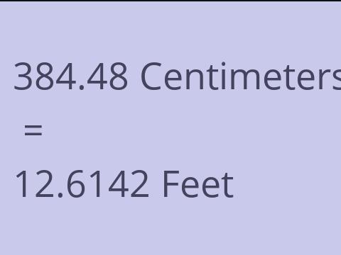 384.48 CM TO FEET