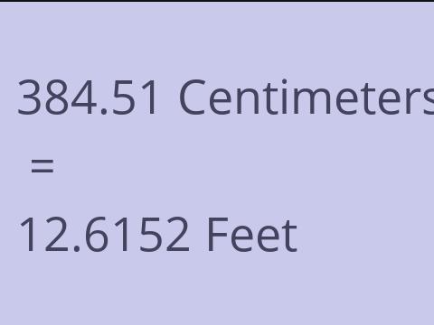 384.51 CM TO FEET