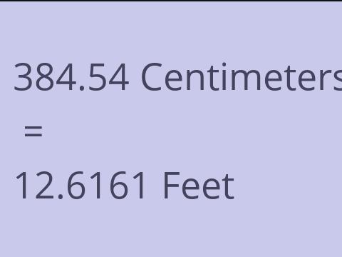 384.54 CM TO FEET