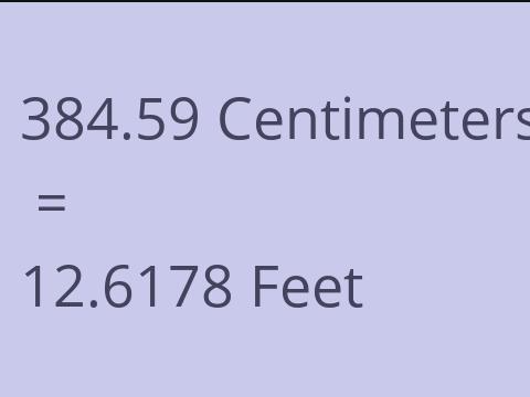 384.59 CM TO FEET