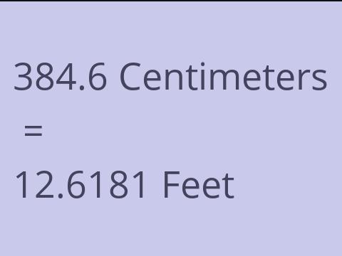 384.6 CM TO FEET