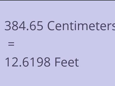 384.65 CM TO FEET