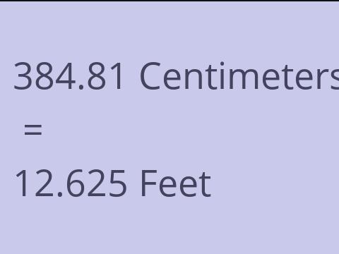 384.81 CM TO FEET