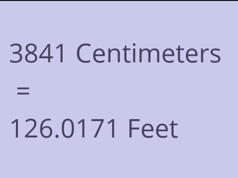 3841 CM TO FEET