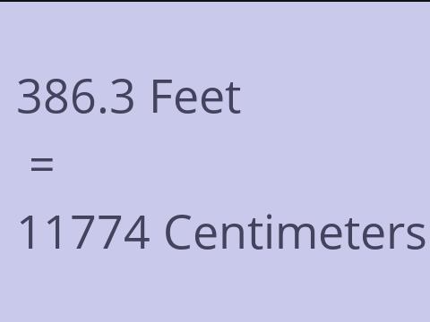 386.3 FEET TO CM