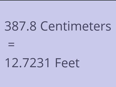 387.8 CM TO FEET