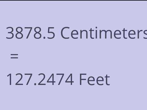 3878.5 CM TO FEET