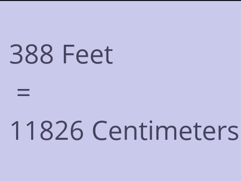 388 FEET TO CM